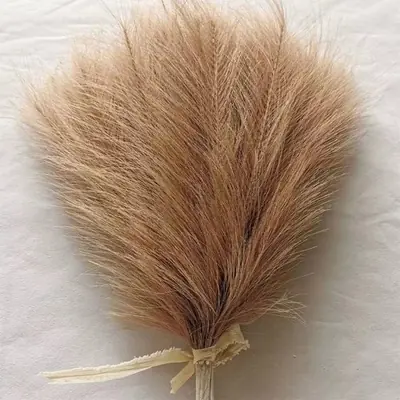 Image de Décoration Pampas Herbe Artificielle - Style Boho Chic