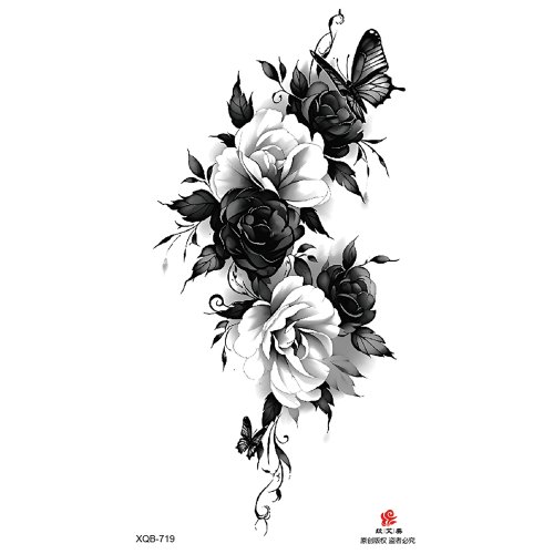 Vue 32 du produit