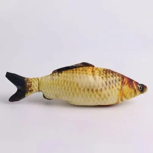 Carpa cruciana