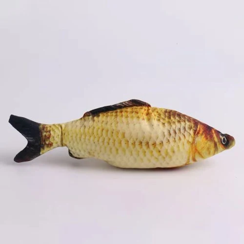 Krucianus carp
