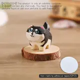 Vue 1 du produit