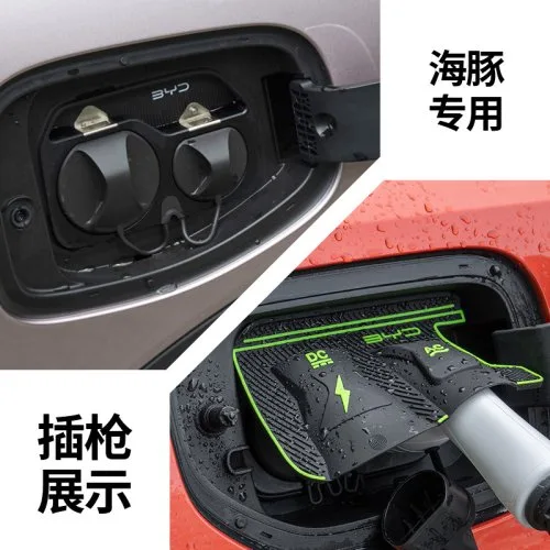 Do BYD Dolphin