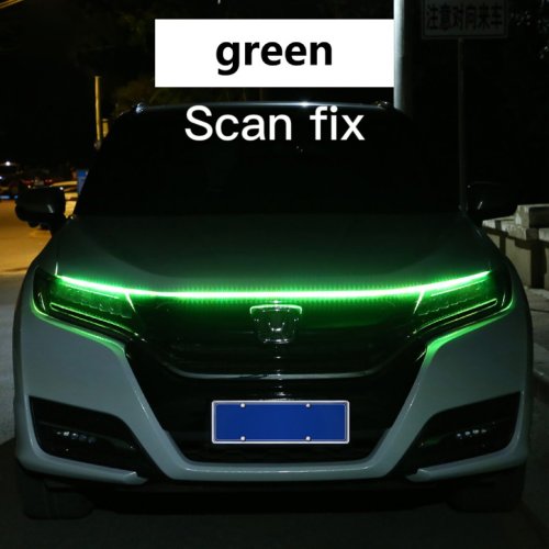 Escaneo fijar-verde