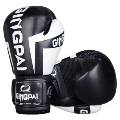 Image de Gants de Boxe 6-12oz pour Tous les Sports de Combat
