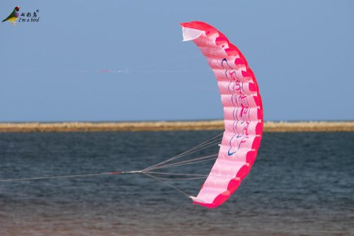 Vue 5 du produit