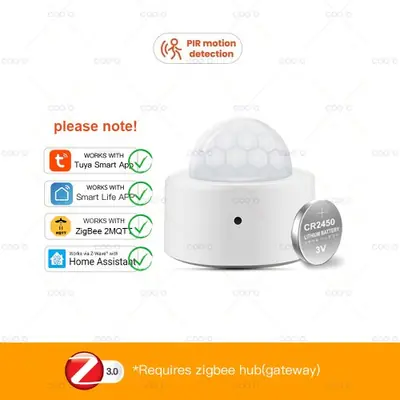 Image de Détecteur de Mouvement Zigbee 2 en 1 - Sécurité & Lumière