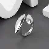 Vue 43 du produit