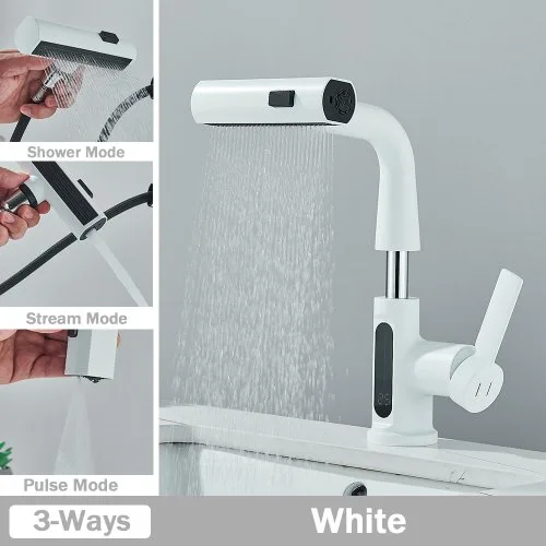 Vue 10 du produit