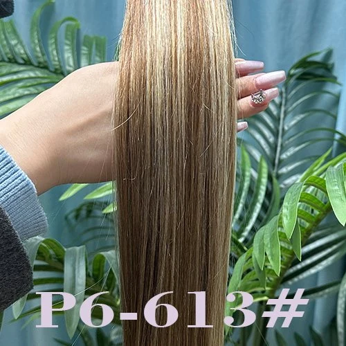 P6 613