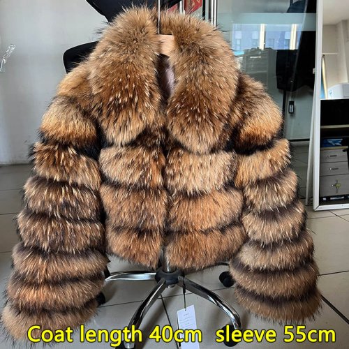 210-4-collar