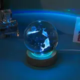Vue 31 du produit
