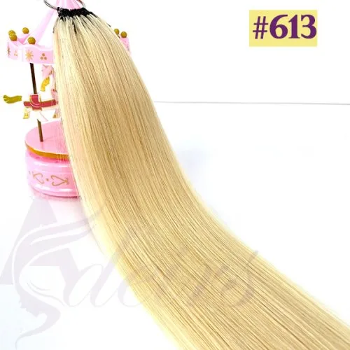 Frontale 613