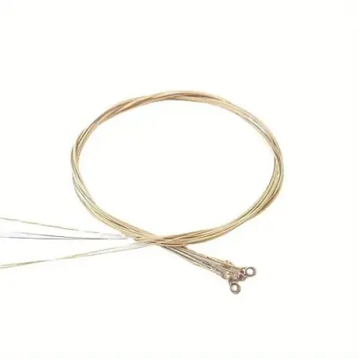 Cordes de Guitare Acoustique Premium - 6 Pièces