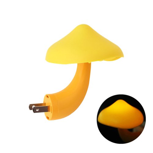 Vue 10 du produit