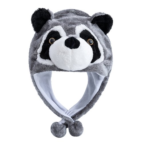 Vue 27 du produit