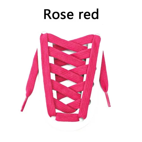Rosa rot