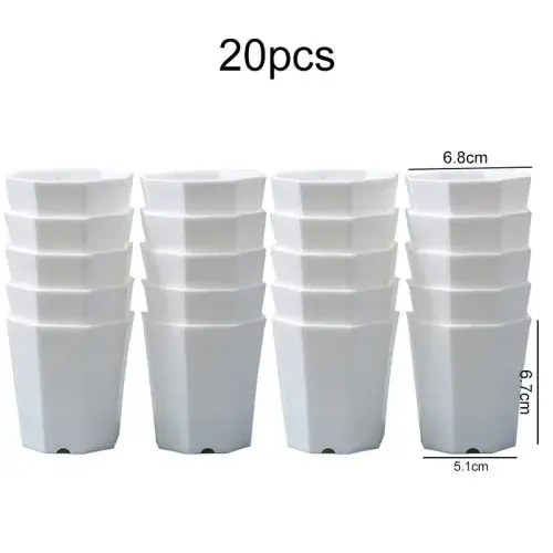 20 pcs BJ blanc