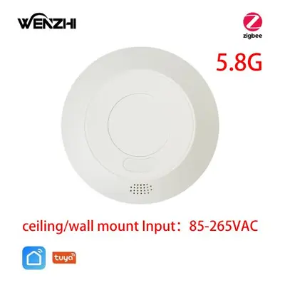 Image de Capteur de Mouvement Intelligent Zigbee & WiFi