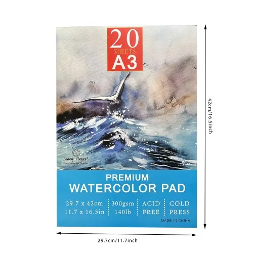A3