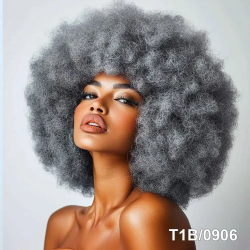 T1B-0906