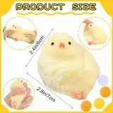 Vue 5 du produit