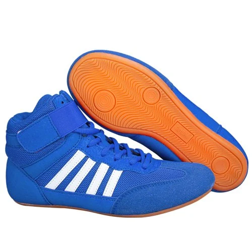Sdg 2S blauw
