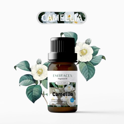 Image of Pure Camellia Essential Oil – 10ml Natural Herbal Extract for Skin Care, Bathing, Facial Treatment, Body Care & Aromatherapy with Fresh Fragrance – Ideal Gift