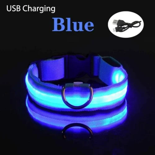Blue USB Charging