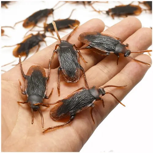 Image de 12x48 Pièces Insectes de Halloween - Décorations Effrayantes