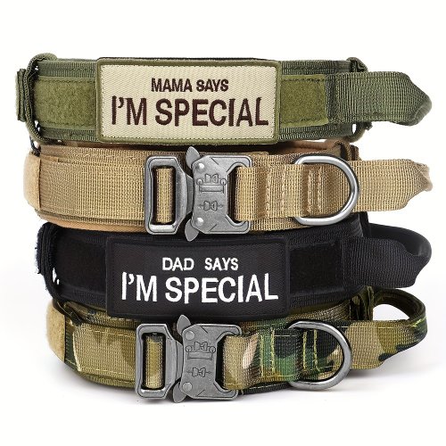 Image de Collier Tactique Militaire pour Chien - Robuste & Pratique
