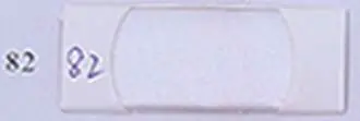 BIAŁY