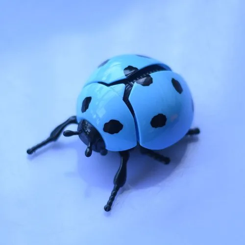 Blau
