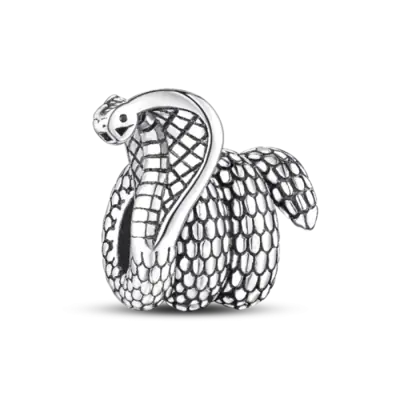 Image de Breloques Zircon Argent 925 - Cœur & Serpent