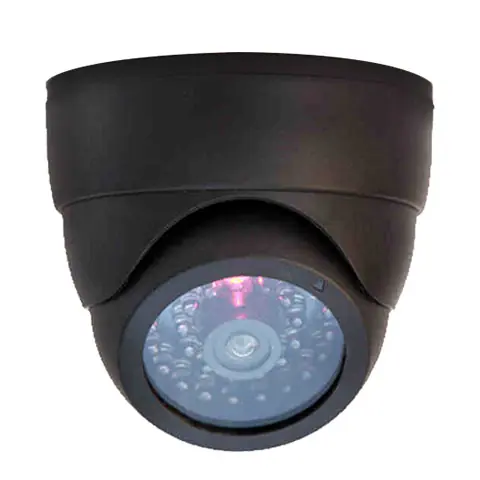 Image de Caméra de Sécurité Factice avec Lumière LED