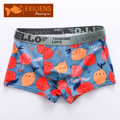 Imagen de Bóxers de Algodón con Estampado de Frutas para Hombre