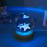 Vue 23 du produit