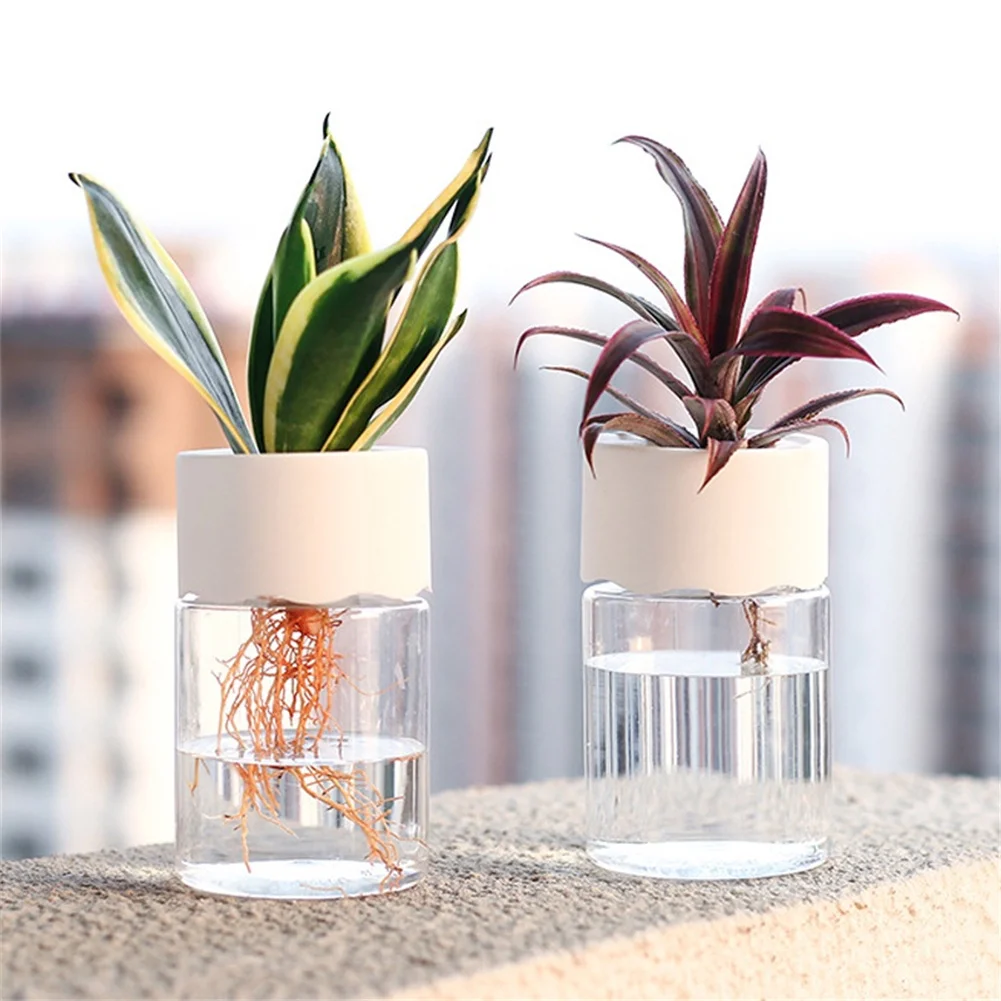 Image de Pot Hydroponique Miniature Transparent - Déco Intérieur
