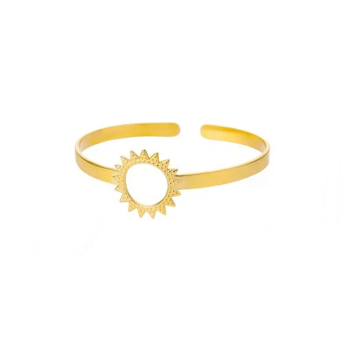 Vue 25 du produit