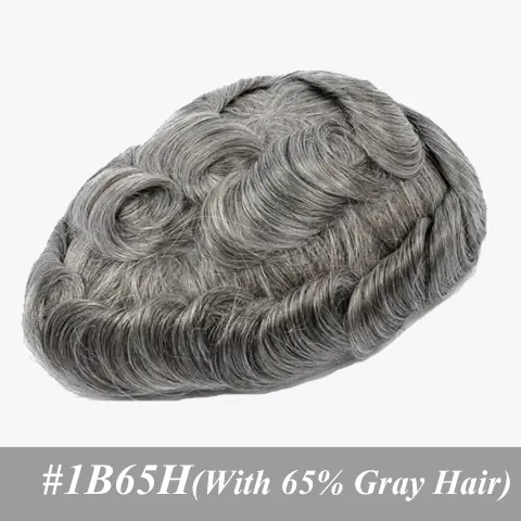 1B65H