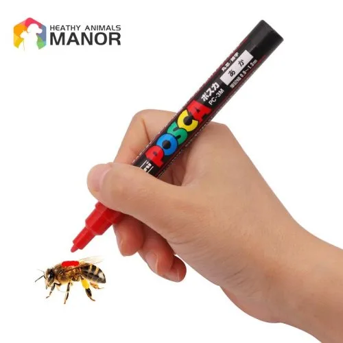 Vue 5 du produit