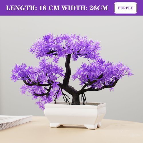 Vue 19 du produit