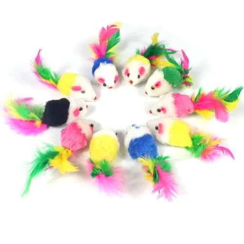 10pcs