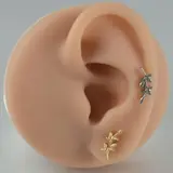 Vue 6 du produit