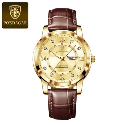 Image de Montre Homme Luxe Étanche avec Date et Lumineuse