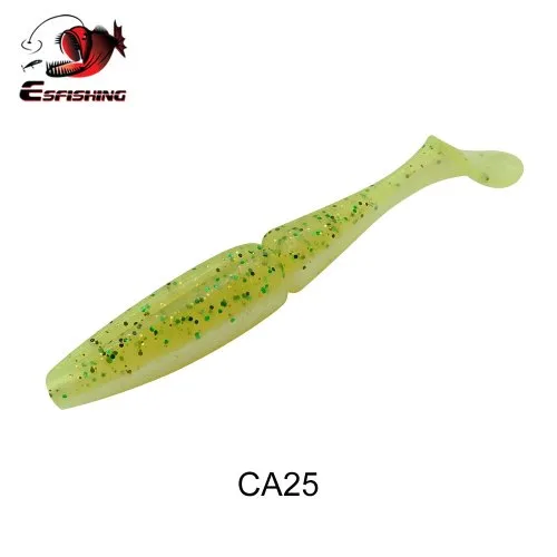 CA25
