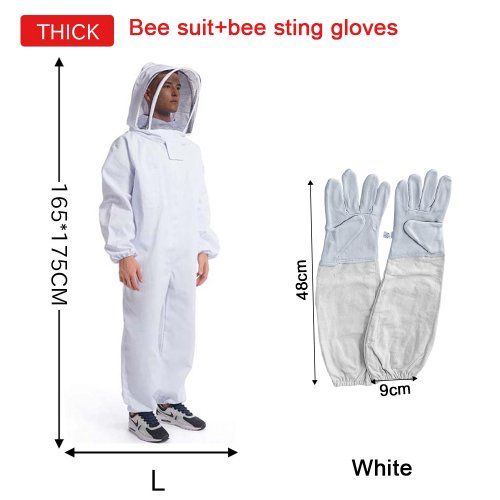 Vue 11 du produit