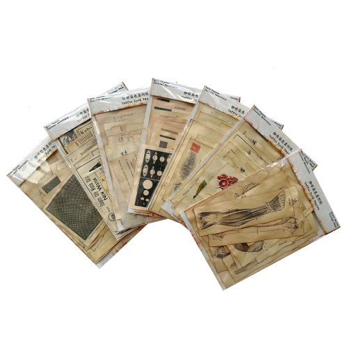 Immagine di Carta tinta al caffè Piante da fiori illustrate Materiale per scrapbooking Etichetta scheletro umano Stelle Decorazione per album di cancelleria