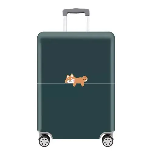 pet chien
