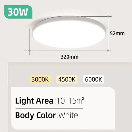 Blanc 30W 220V