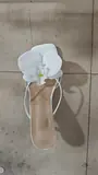 Vue 10 du produit